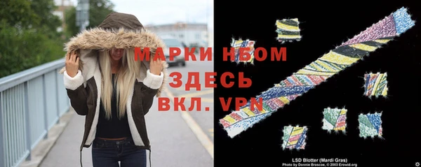 шишки Наволоки