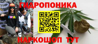 прущие грибы Донецк