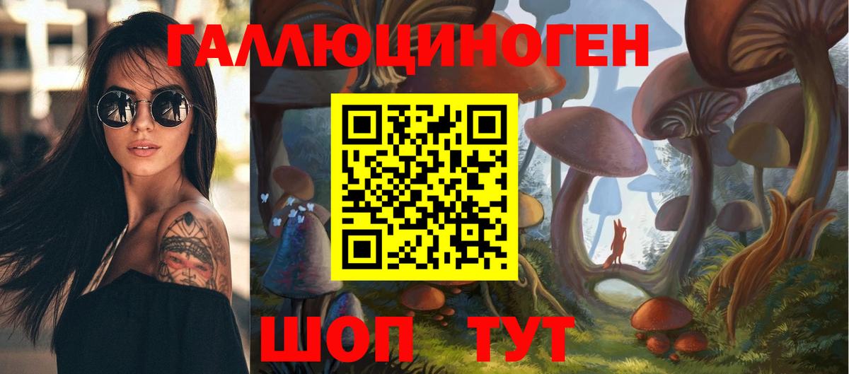 Псилоцибиновые грибы прущие грибы Тайшет