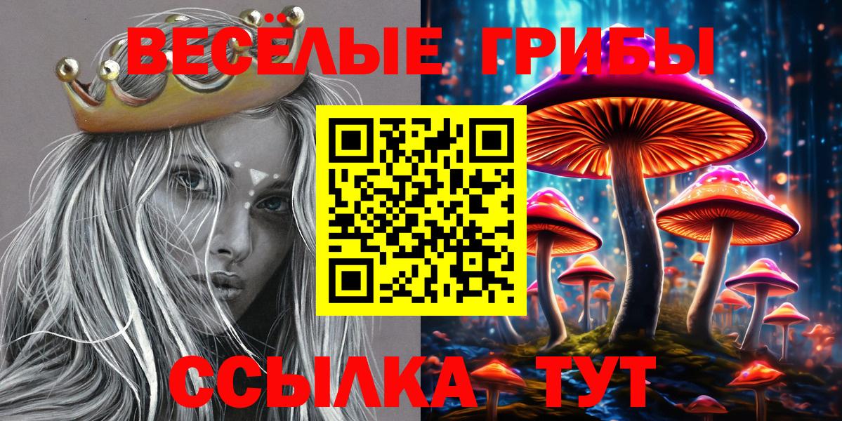 Галлюциногенные грибы MAGIC MUSHROOMS  Вход с VPN  хочу наркоту  Тайшет 